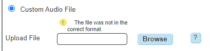 The file was not in the correct format